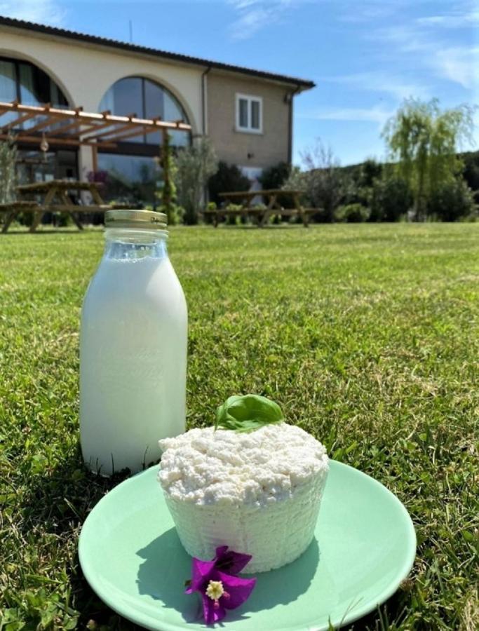 Agriturismo Tre Di Spade سافيو دي رافينا المظهر الخارجي الصورة