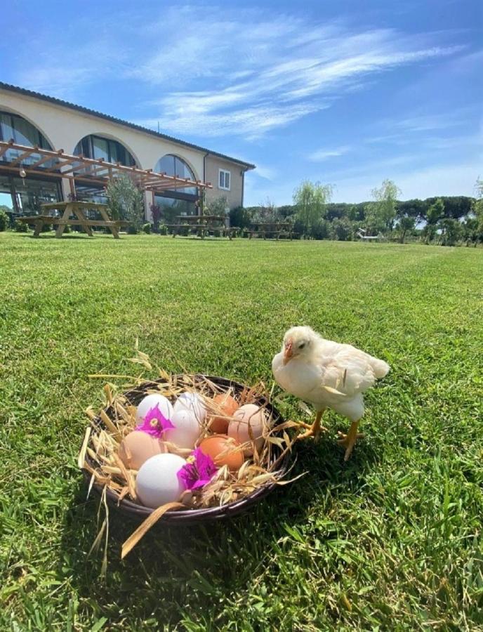 Agriturismo Tre Di Spade سافيو دي رافينا المظهر الخارجي الصورة